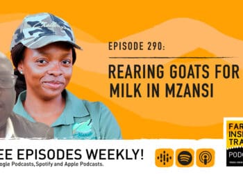 Podcast: Rearing goats for milk in Mzansi (with love)
