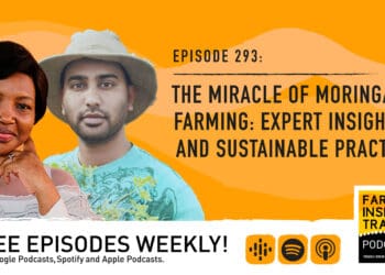 Podcast: The benefits of farming with moringa in Mzansi