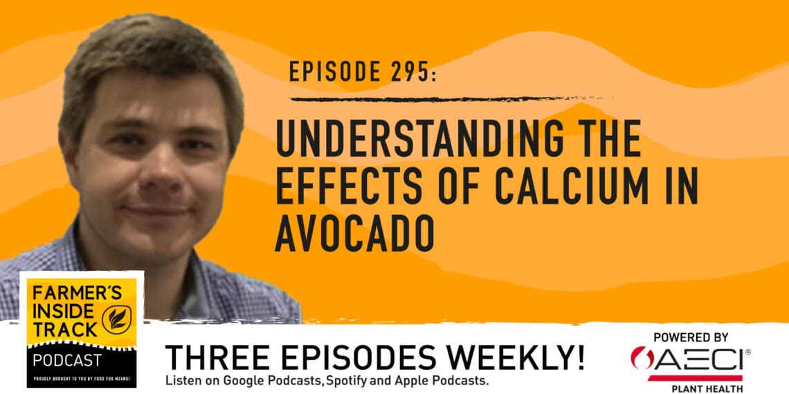 Podcast: How a lack of calcium can ruin avocados