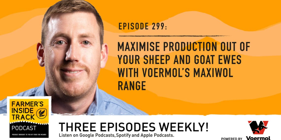 Podcast: Elevate your flock's productivity with Voermol's Maxiwol range