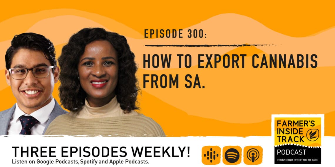 Podcast: Flying high – The ins and outs of cannabis exports
