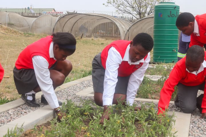 Kaalfontein food garden cultivates community spirit