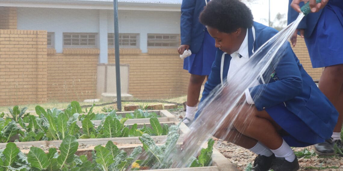 McDonald’s South Africa backs Soweto school’s garden of hope