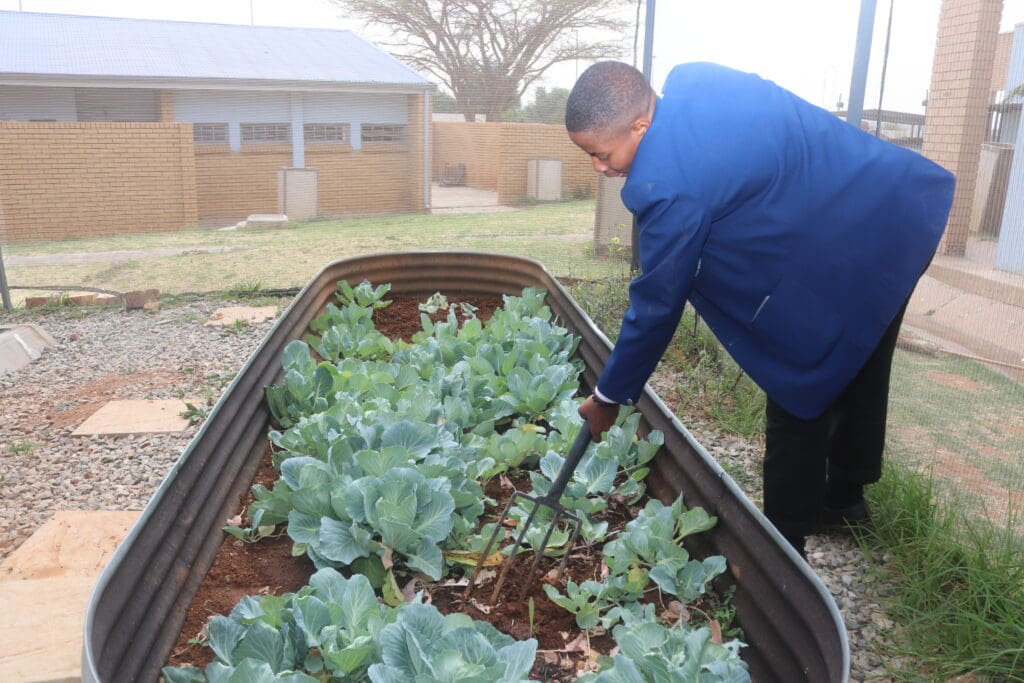 McDonald’s South Africa backs Soweto school’s garden of hope