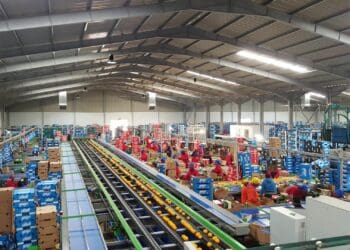 Spick and span: The three pillars to packhouse perfection