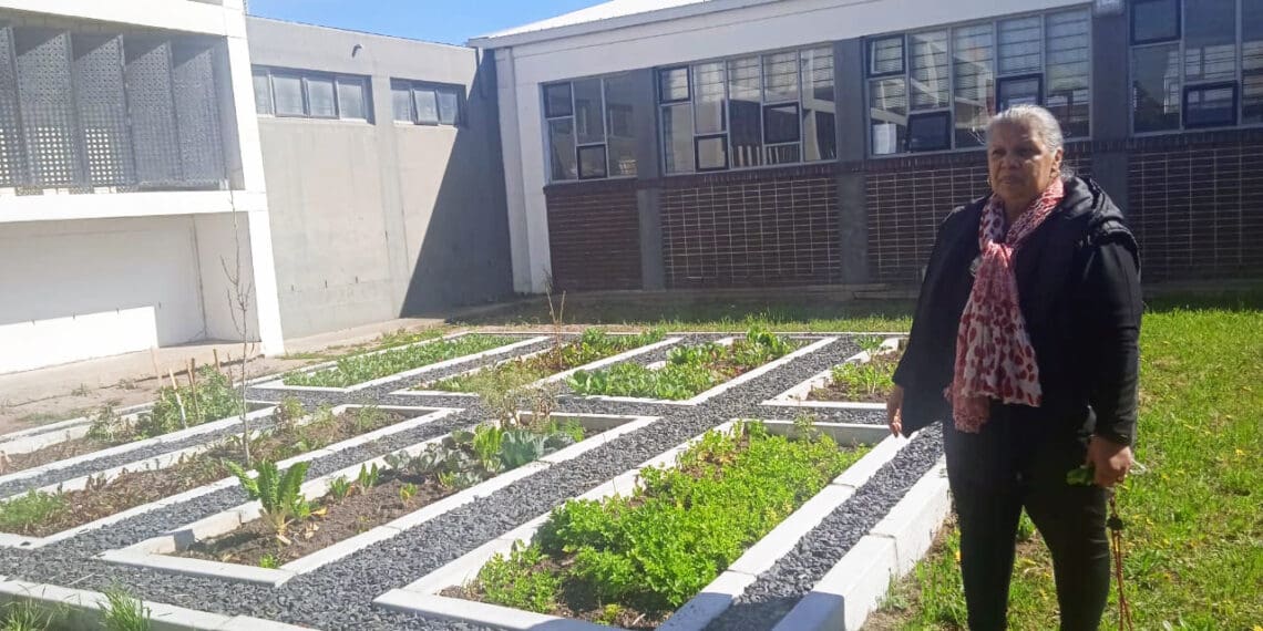 Kensington High School’s food garden thrives with the support of McDonald’s SA