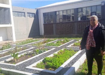 Kensington High School’s food garden thrives with the support of McDonald’s SA