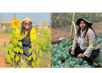 Goldstone's act of kindness turns into a farming side hustle
