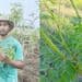 Seniren Naidoo, experienced banker and advisor in the financial services industry and moringa farmer. Photo: Supplied/Food For Mzansi