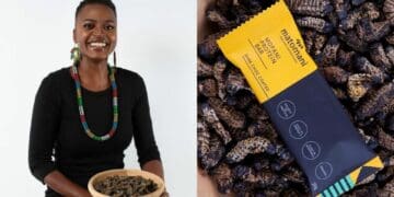 Snack attack: Wendy's moreish mopani worms steal the show