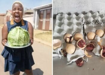 Baker takes the fake out of cake with her veggie artworks