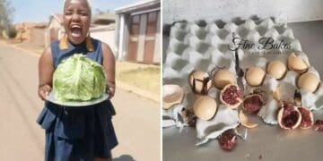 Baker takes the fake out of cake with her veggie artworks