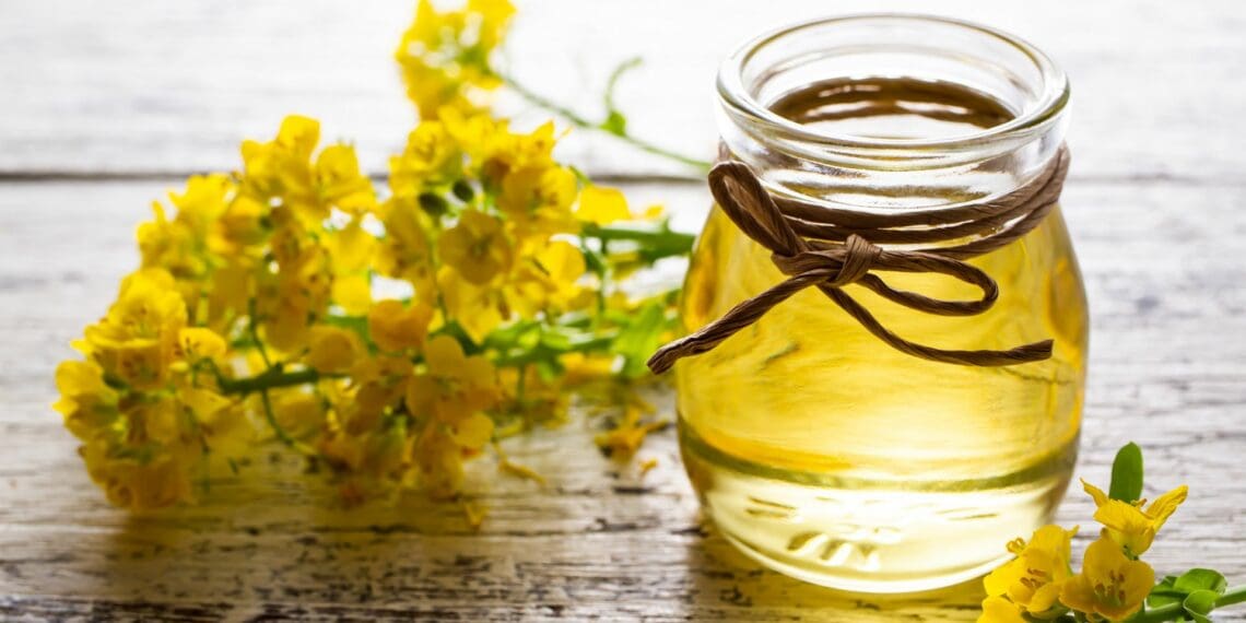 Cultivating sustainability: SSK’s dedication to conservation farming includes the B-well product range made from locally grown canola. Photo: Supplied/Food For Mzansi