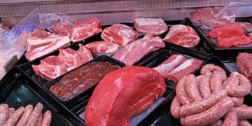 Red Meat Industry Services (RMIS) advocates for methods that can revolutionise red meat production, ensuring sustainable resource use and nourishing nations. Photo: Supplied/Food For Mzansi
