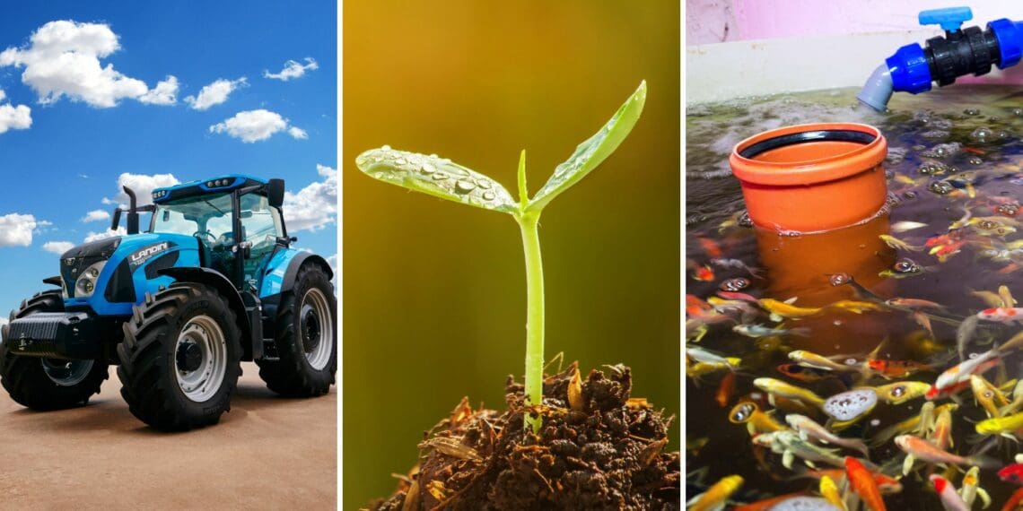 The countdown is on for the highly anticipated Agri Gauteng Agricultural Ekspo, a must-attend event for farmers, enthusiasts, and innovators. From livestock demonstrations to camel insights, cutting-edge technology showcases to in-depth training sessions, this expo offers unparalleled opportunities to explore the latest developments in agriculture. Photos: Supplied/Food For Mzansi