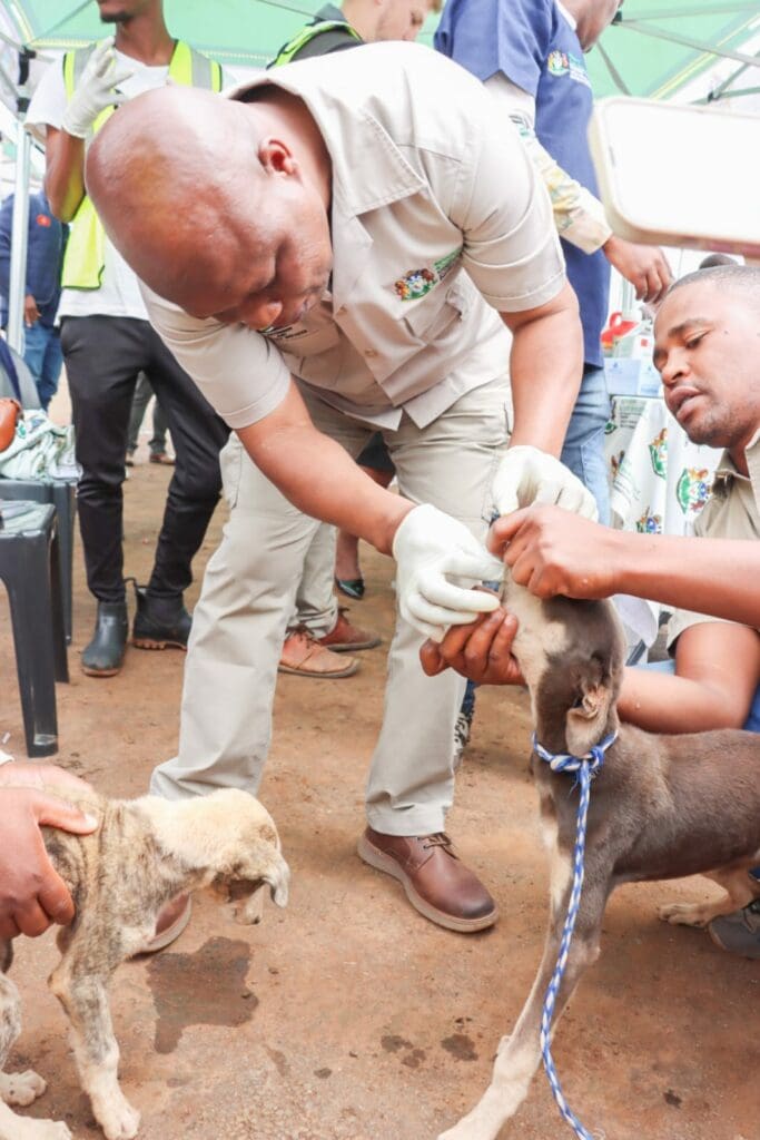 Rabies: Vaccinate your pets before its too late – KZN govt