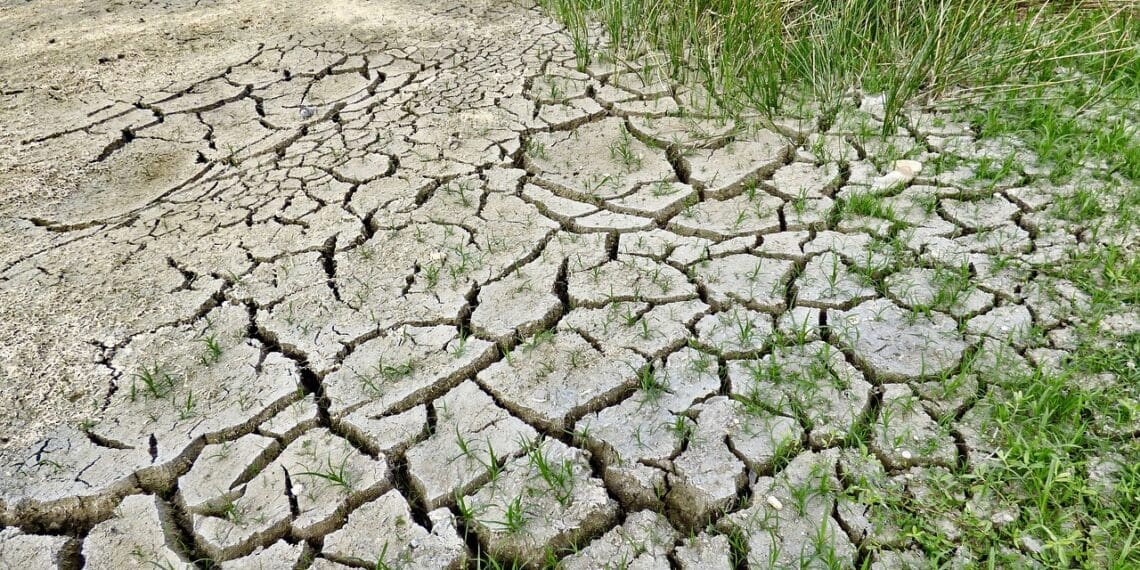 Climate change: Train smallholder farmers for a greener future
