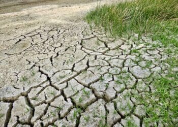 Climate change: Train smallholder farmers for a greener future