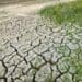 Climate change: Train smallholder farmers for a greener future
