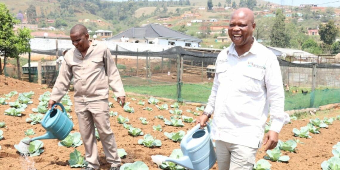 Former mayor inspires KwaMnyandu with food garden initiative