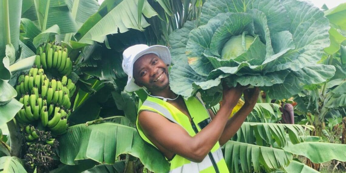 Husqvarna empowers Sihle: A triumph in farming