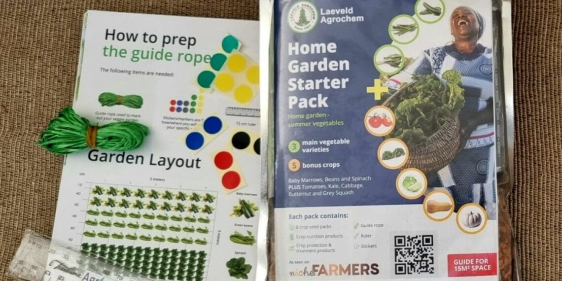 AgricultSURE seed packs: Sowing hope amid Mzansi food crisis