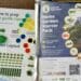 AgricultSURE seed packs: Sowing hope amid Mzansi food crisis