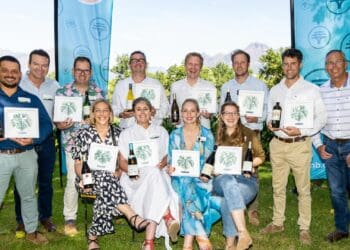 A captivating line-up of the 2023 FNB Sauvignon Blanc SA Top 10 winners, showcasing the rich diversity of South African winemaking excellence, from wooded marvels to unwooded delights. Photo: Supplied/Food For Mzansi