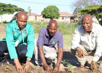 Farmers laud Zuma and his KZN crew's empowerment efforts
