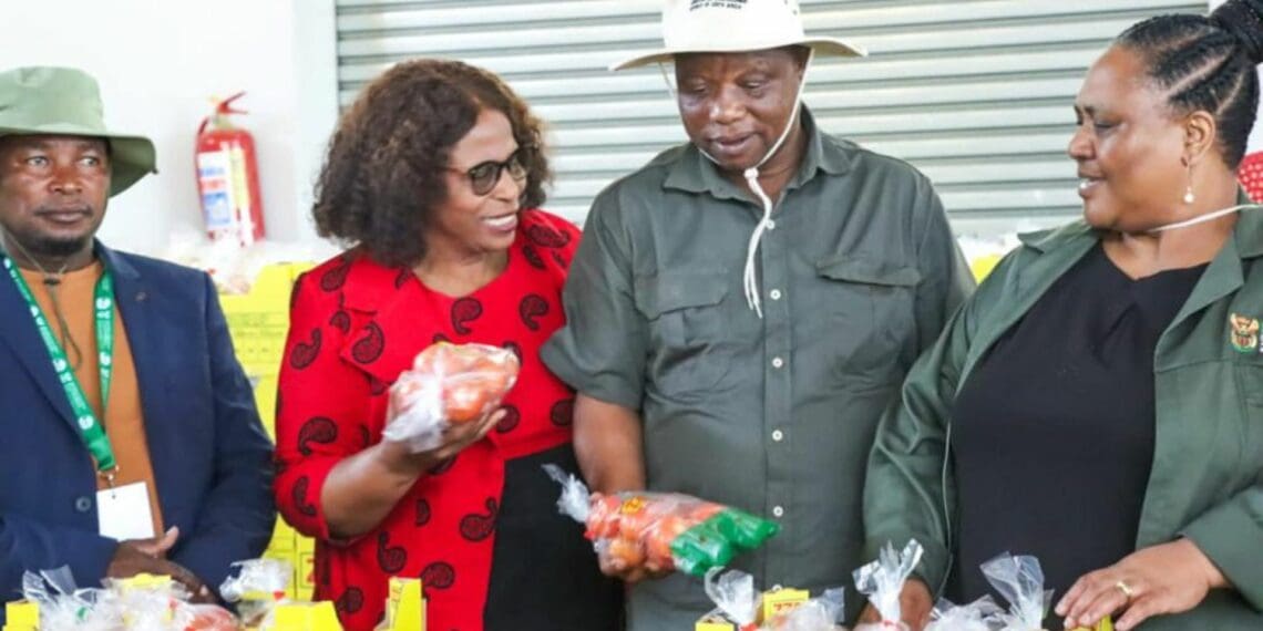 KwaZulu-Natal MEC for agriculture and rural development, Super Zuma (second from right), and agriculture, land reform and rural development minister Thoko Didiza (far right) joined hands at the World Food Day celebrations. Photo: Supplied/Food For Mzansi