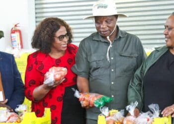 KwaZulu-Natal MEC for agriculture and rural development, Super Zuma (second from right), and agriculture, land reform and rural development minister Thoko Didiza (far right) joined hands at the World Food Day celebrations. Photo: Supplied/Food For Mzansi