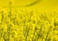 Turning soil, turning tides: New era of sustainable farming