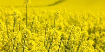 Turning soil, turning tides: New era of sustainable farming