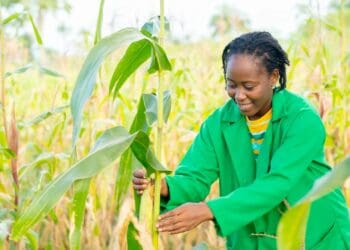 Traditional farming knowledge should be stored for future use