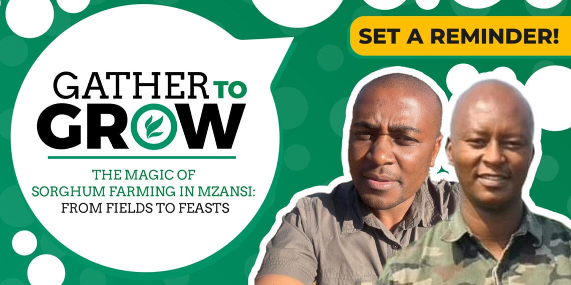 This week’s events include a livestock auction and two Food For Mzansi Farmers' Days. Photo: Supplied/Food For Mzansi