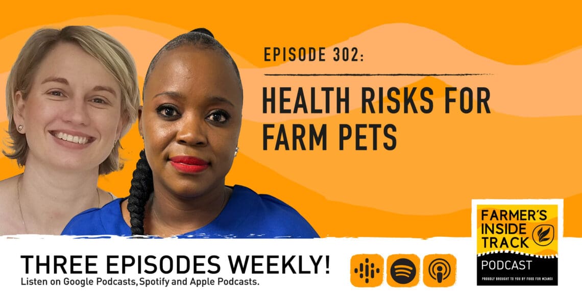 Podcast: How to keep your darling farm pets out of harm's way