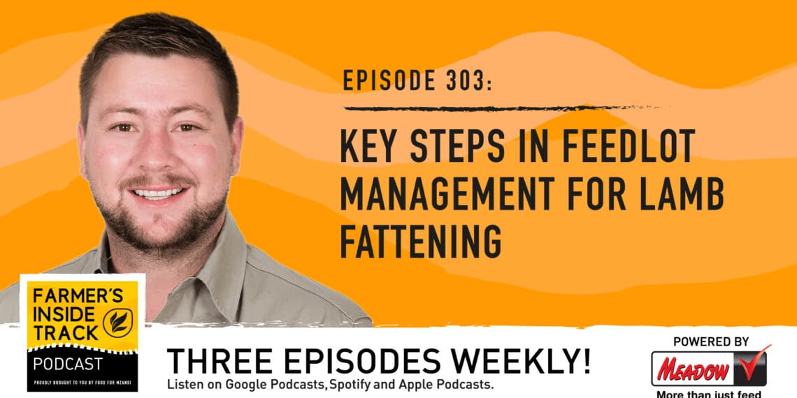 Podcast: Feedlot management for lamb fattening