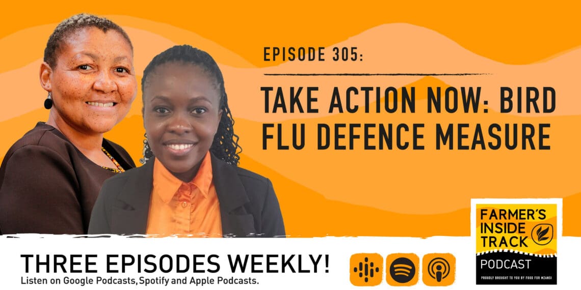 Podcast: A farmer's guide to keeping bird flu at bay