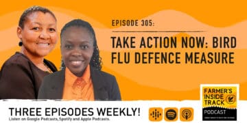 Podcast: A farmer's guide to keeping bird flu at bay