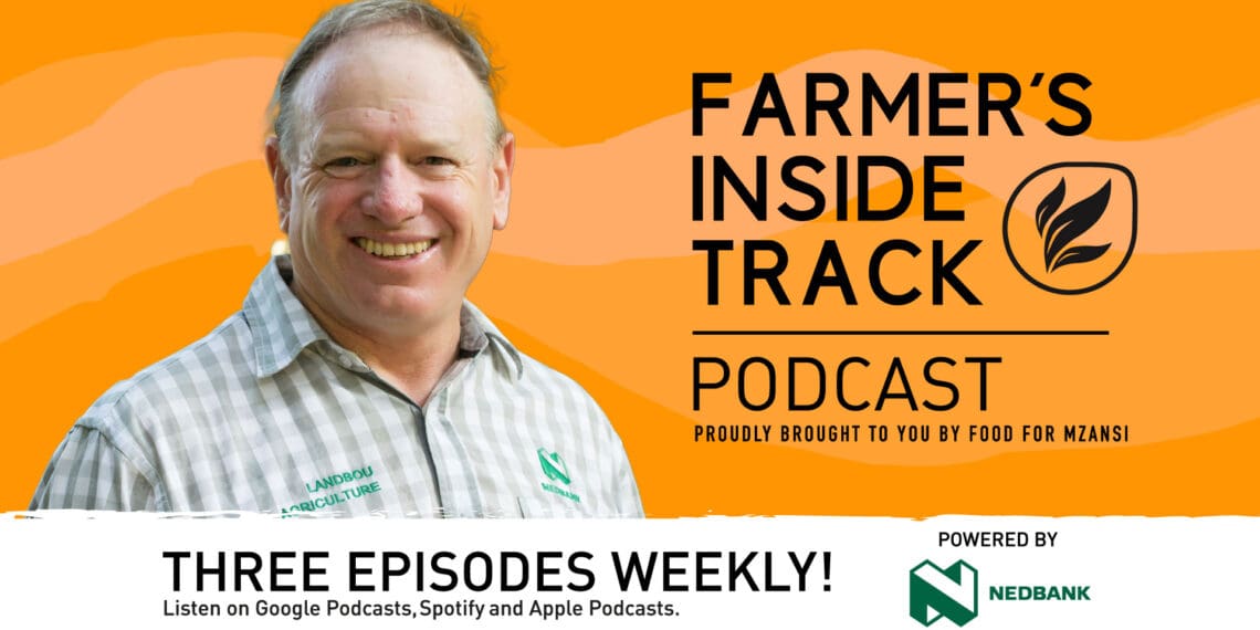 In this episode of Farmer's Inside Track, John Hudson, head of agriculture at Nedbank talks South African exports. Photo: Supplied/Food For Mzansi