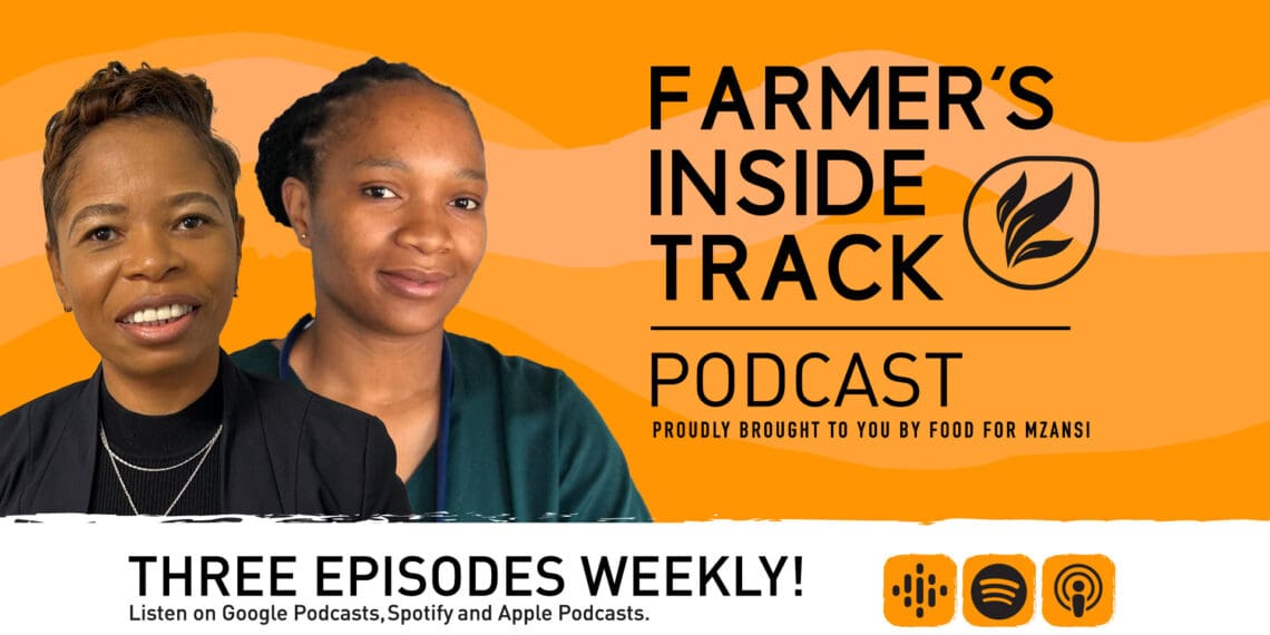 Podcast: Vaccinate your cattle against lumpy skin disease