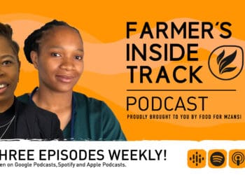 Podcast: Vaccinate your cattle against lumpy skin disease
