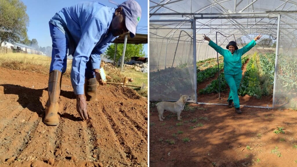 Female farmer takes charge of Mdluli farming dynasty