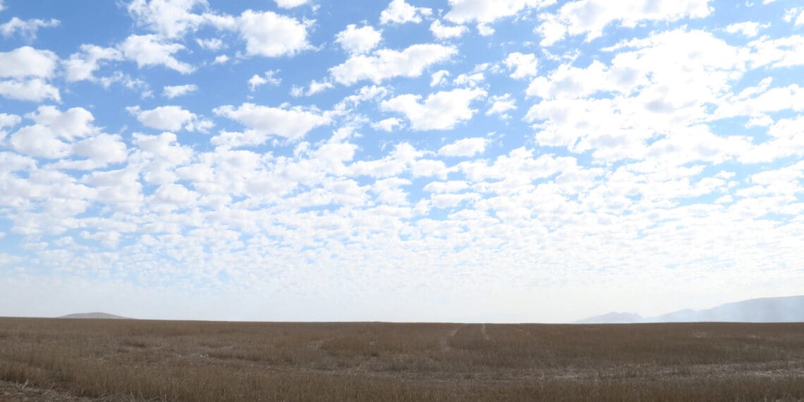Inland provinces' farmers put on alert as El Niño kicks in