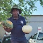 National Pumpkin Day celebrates the iconic orange fruit