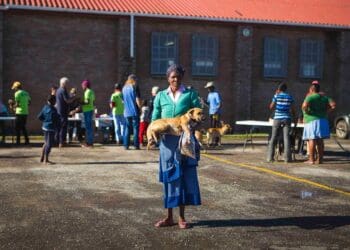 ICYMI: Woof! 19 000 dogs vaccinated against rabies in EC