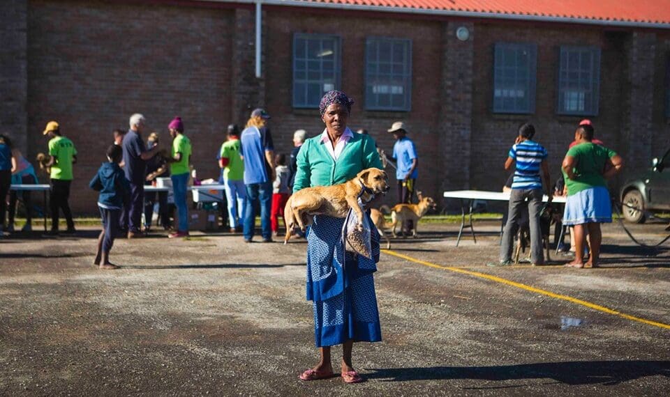 ICYMI: Woof! 19 000 dogs vaccinated against rabies in EC