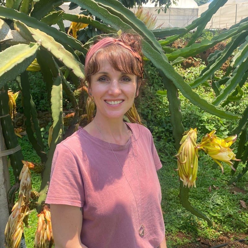 Gather to Grow: Macadamia farming is a tough nut to crack