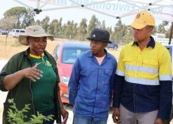 ICYMI: NW govt drives upliftment efforts via food gardens