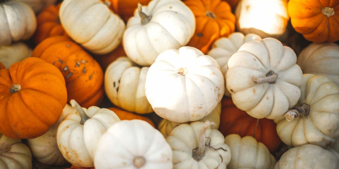 National Pumpkin Day celebrates the iconic orange fruit